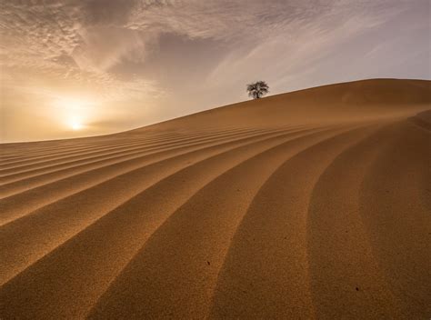 desertporn|Desertporn .